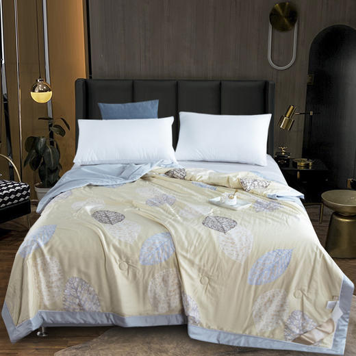 【欧典梦娜】艾米玻尿酸美颜被 商品图4