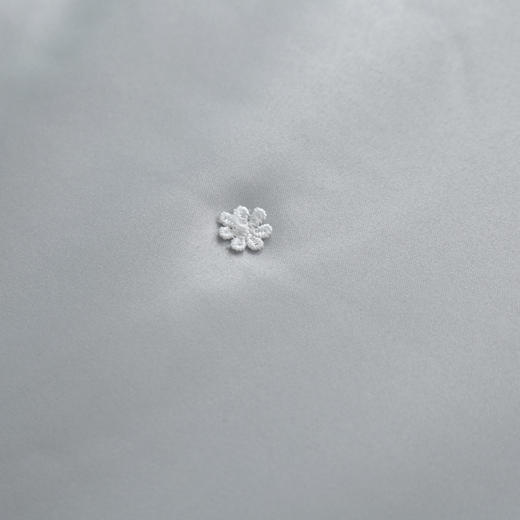 【欧典梦娜】洛菲抑菌蚕丝被 商品图3