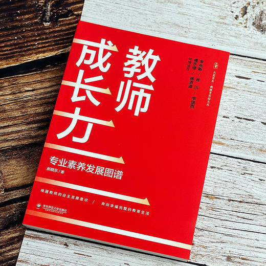 教师成长力 专业素养发展图谱 大夏书系 教师专业发展 郝晓东 商品图10