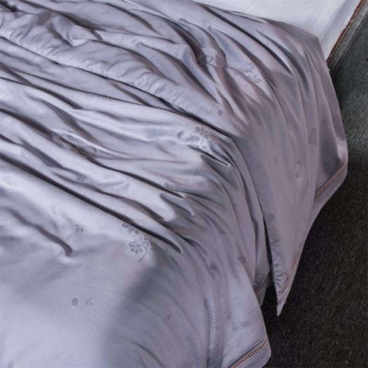 【欧典梦娜】四叶草蚕丝养肤被 商品图11