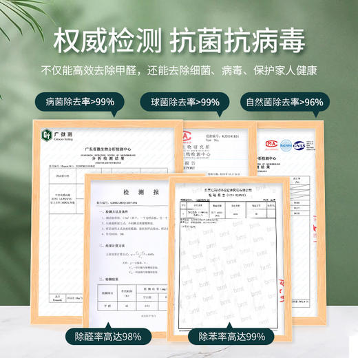 小在意甲醛净化器 锰卫士  清华大学专利 活性锰除甲醛 商品图6