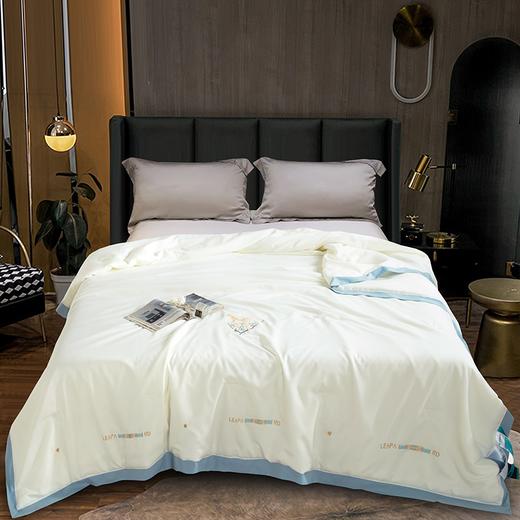 【欧典梦娜】罗恩蚕丝养颜被 商品图0