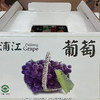 葡萄礼盒  新鲜水果无公害  1.5kg整箱手提礼盒装 商品缩略图0