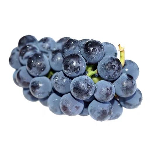 葡萄礼盒  新鲜水果无公害  1.5kg整箱手提礼盒装 商品图1