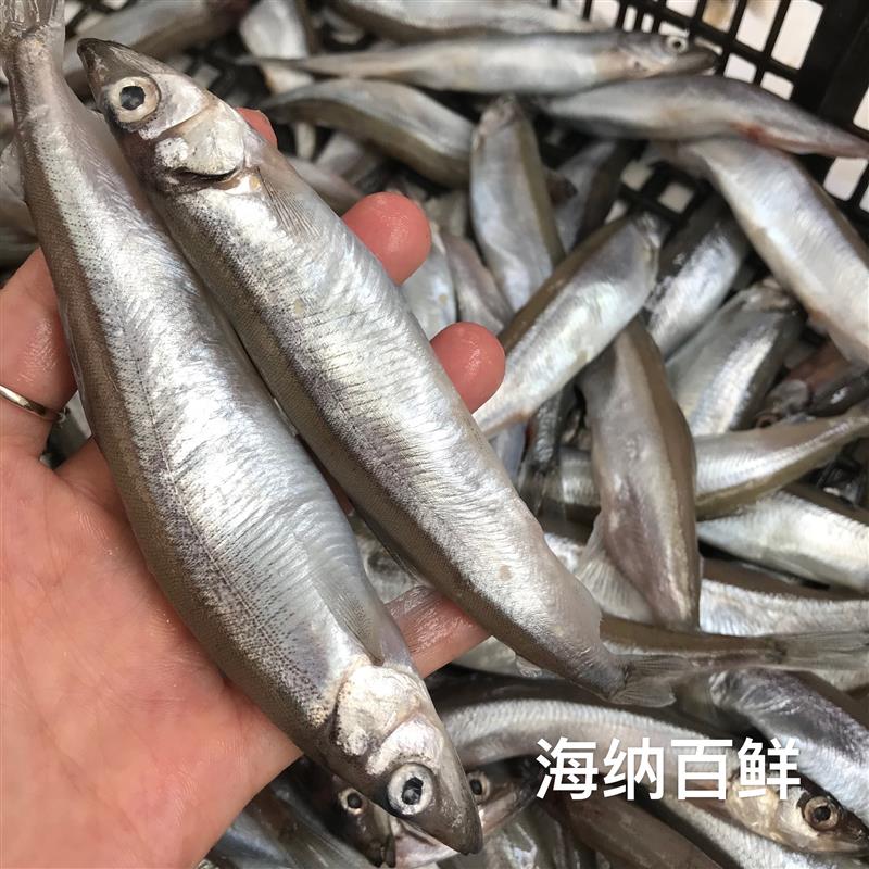 野生多春鱼0.5斤 （1盒）（0添加）| 汫洲海鲜