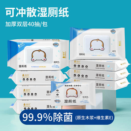 【一冲即走 方便又卫生】800抽湿厕纸男女性洁阴私处清洁护理擦屁股抑制菌洁厕湿巾纸可降解冲马桶 商品图2