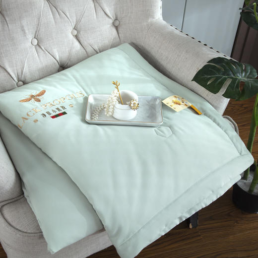 【欧典梦娜】小黑胶科技美颜被 商品图3