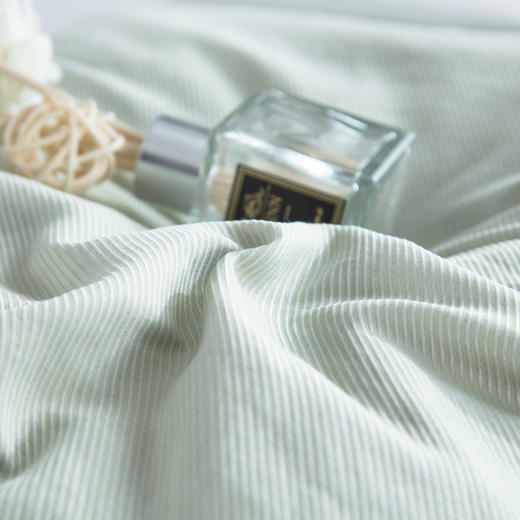 【欧典梦娜】贝拉燕窝蛋白美肤被 商品图5