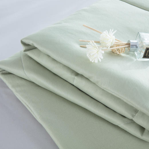 【欧典梦娜】贝拉燕窝蛋白美肤被 商品图4