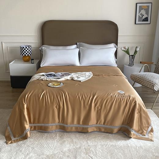 【欧典梦娜】轻奢羽梦蚕丝美肤被 商品图2