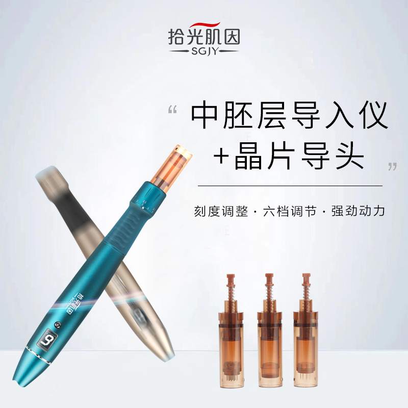 拾光肌因中胚层晶片导头