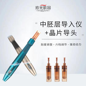 拾光肌因中胚层晶片导头