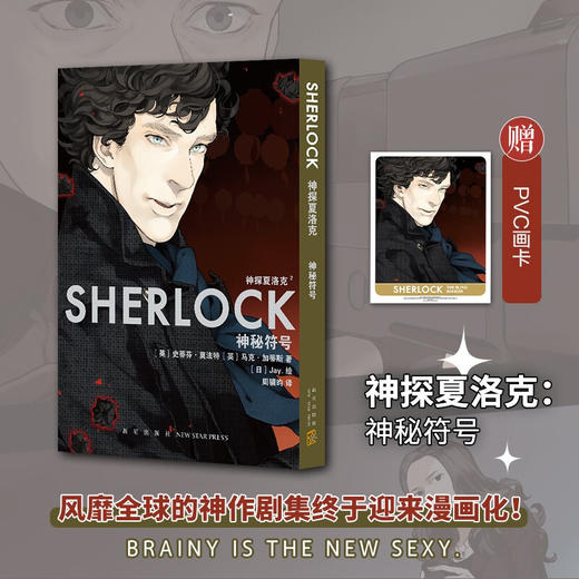 神探夏洛克 神秘符号 史蒂芬莫法特 著 动漫 商品图2