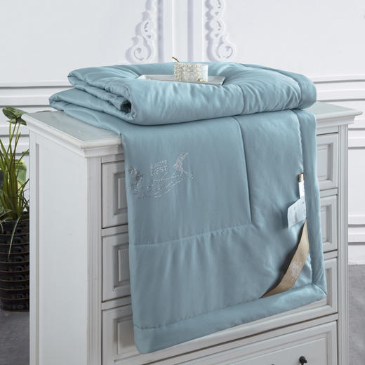 【欧典梦娜】贝拉燕窝蛋白美肤被 商品图3