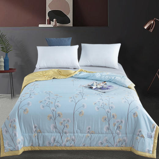 【欧典梦娜】陌上花开睡眠被 商品图0