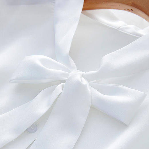 JZYFS109J新款时尚气质休闲蝴蝶结飘带长袖百褶雪纺衬衫 商品图3