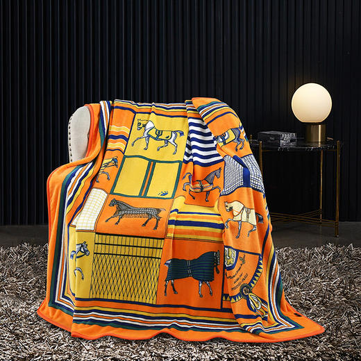 【欧典梦娜】多功能巴洛午休毯 商品图1