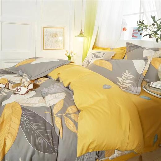 【欧典梦娜】沐夏莱卡棉四件套 商品图5