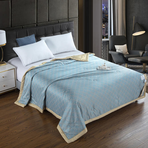 【欧典梦娜】格调水洗真丝夏被 商品图6