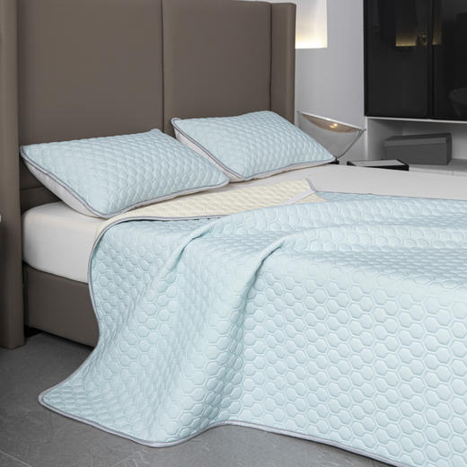 【欧典梦娜】冰皮云母凉感丝乳胶席 商品图10