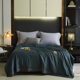 【欧典梦娜】查尔斯蚕丝美肤被