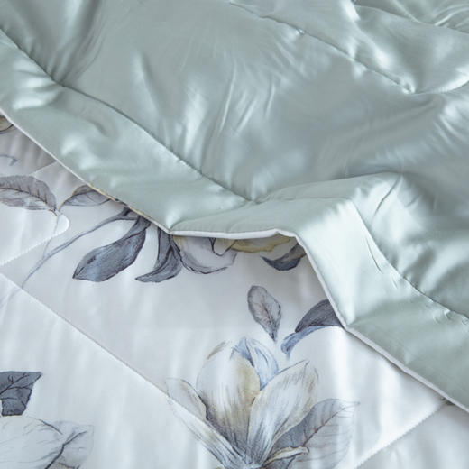 【欧典梦娜】沁园春润肤蚕丝被 商品图3