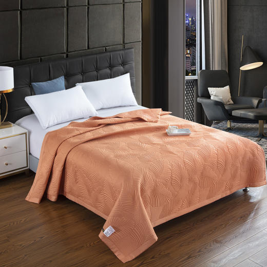 【欧典梦娜】梦露多功能床盖 商品图0