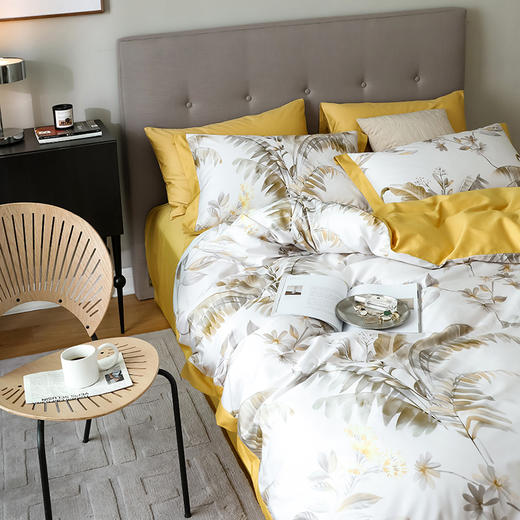 【欧典梦娜】伊美莎天丝四件套 商品图10