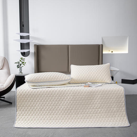 【欧典梦娜】冰皮云母凉感丝乳胶席 商品图2