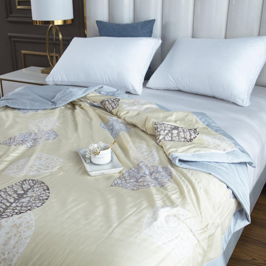 【欧典梦娜】艾米玻尿酸美颜被 商品图0