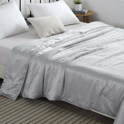 【欧典梦娜】洛菲抑菌蚕丝被 商品图1