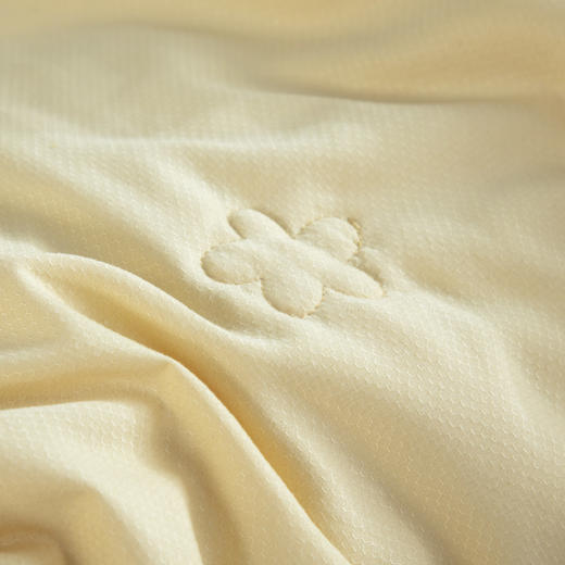 【欧典梦娜】小黑胶科技美颜被 商品图4