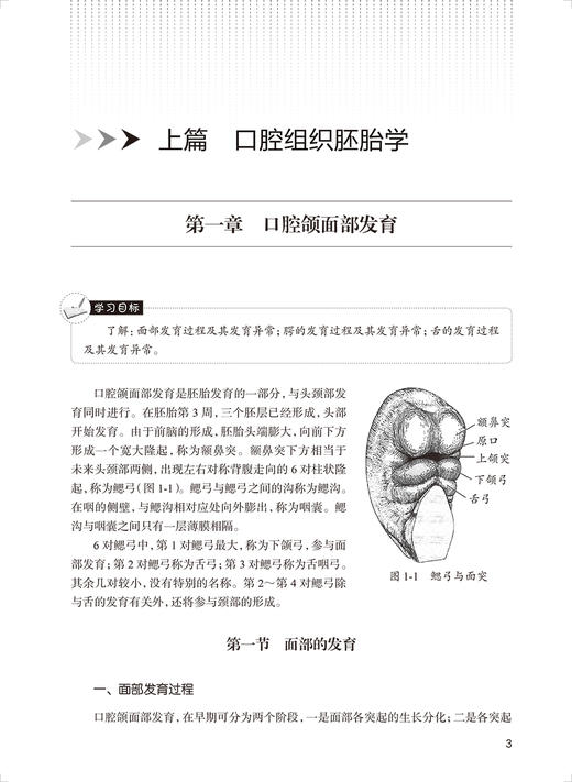 口腔组织及病理学基础 第3版 十四五教材全国中等卫生职业教育教材 供口腔修复工艺专业用 刘钢 人民卫生出版社9787117329781 商品图4