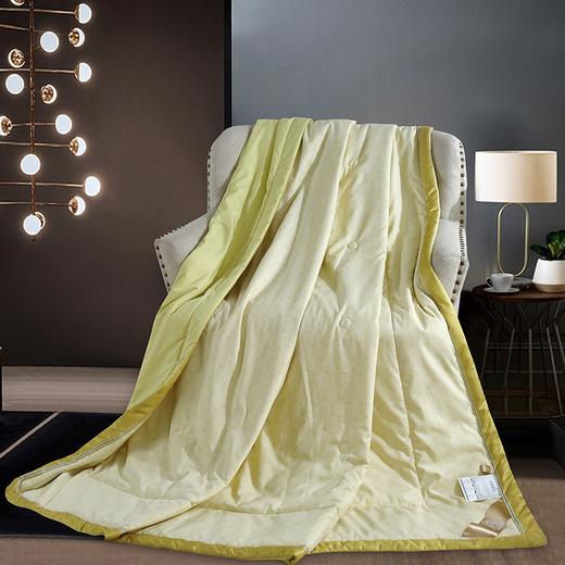 【欧典梦娜】莱茵密语凉感被 商品图8