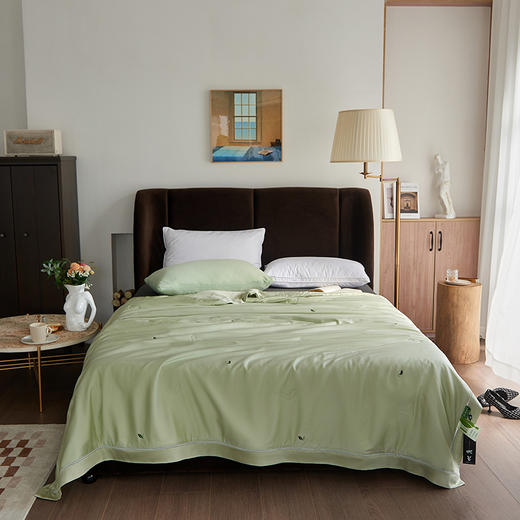 【欧典梦娜】清风丽影凉茶夏被 商品图0