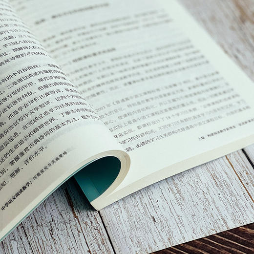 中学语文阅读教学 问题探究与实施策略 大夏书系 易海华著 中学语文阅读课 教师教学指导用书 课堂教学正版 华东师范大学出版社 商品图6