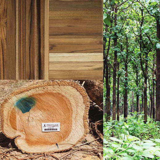 【4折清货】TEAK进口越南柚木格纹菜板砧板 商品图9