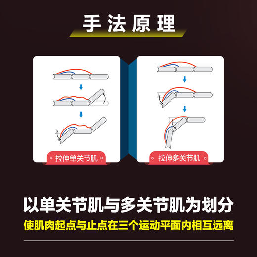 基于运动功能的选择性拉伸 下肢与躯干 运动损伤 运动康复书籍 拉伸手法 手法* 肌肉松解 软组织放松 商品图2