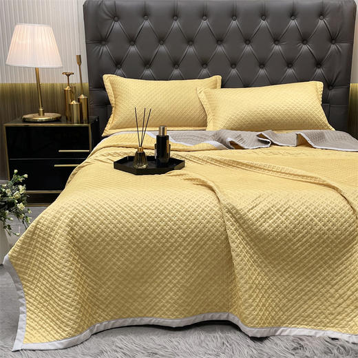 【欧典梦娜】凉感丝好眠夏被 商品图0