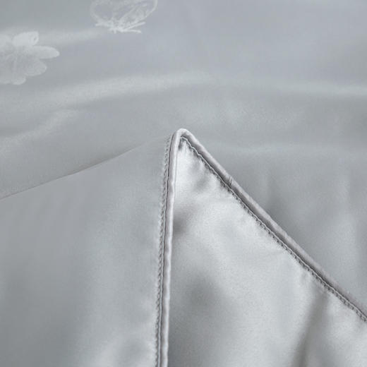 【欧典梦娜】洛菲抑菌蚕丝被 商品图6