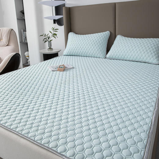 【欧典梦娜】冰皮云母凉感丝乳胶席 商品图5