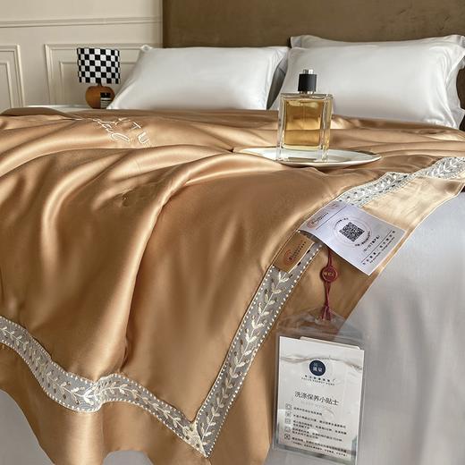 【欧典梦娜】轻奢羽梦蚕丝美肤被 商品图3
