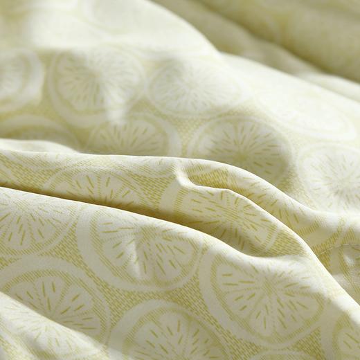 【欧典梦娜】莱茵密语凉感被 商品图2