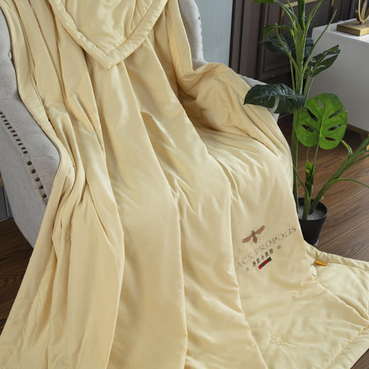 【欧典梦娜】小黑胶科技美颜被 商品图1