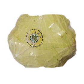 【万寿河净菜】万寿河卷心菜 ±10g  常吃常鲜 懒人便携