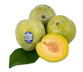 美国恐龙蛋-绿宝石 Green Plout 400g(4颗)