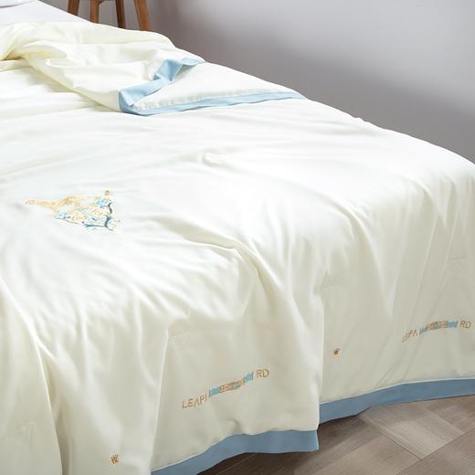 【欧典梦娜】罗恩蚕丝养颜被 商品图1