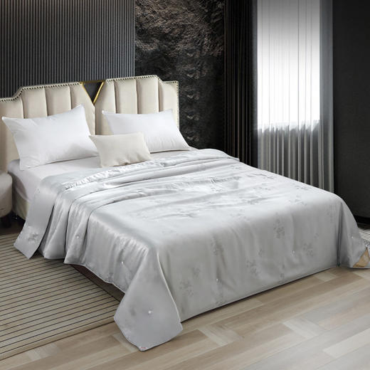 【欧典梦娜】洛菲抑菌蚕丝被 商品图0