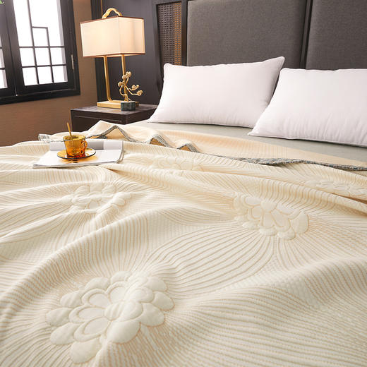 【欧典梦娜】爱丽丝有氧双层纱夏被 商品图5