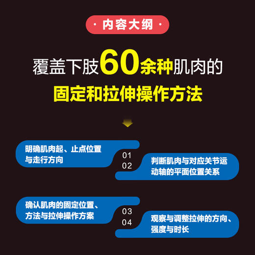 基于运动功能的选择性拉伸 下肢与躯干 运动损伤 运动康复书籍 拉伸手法 手法* 肌肉松解 软组织放松 商品图3